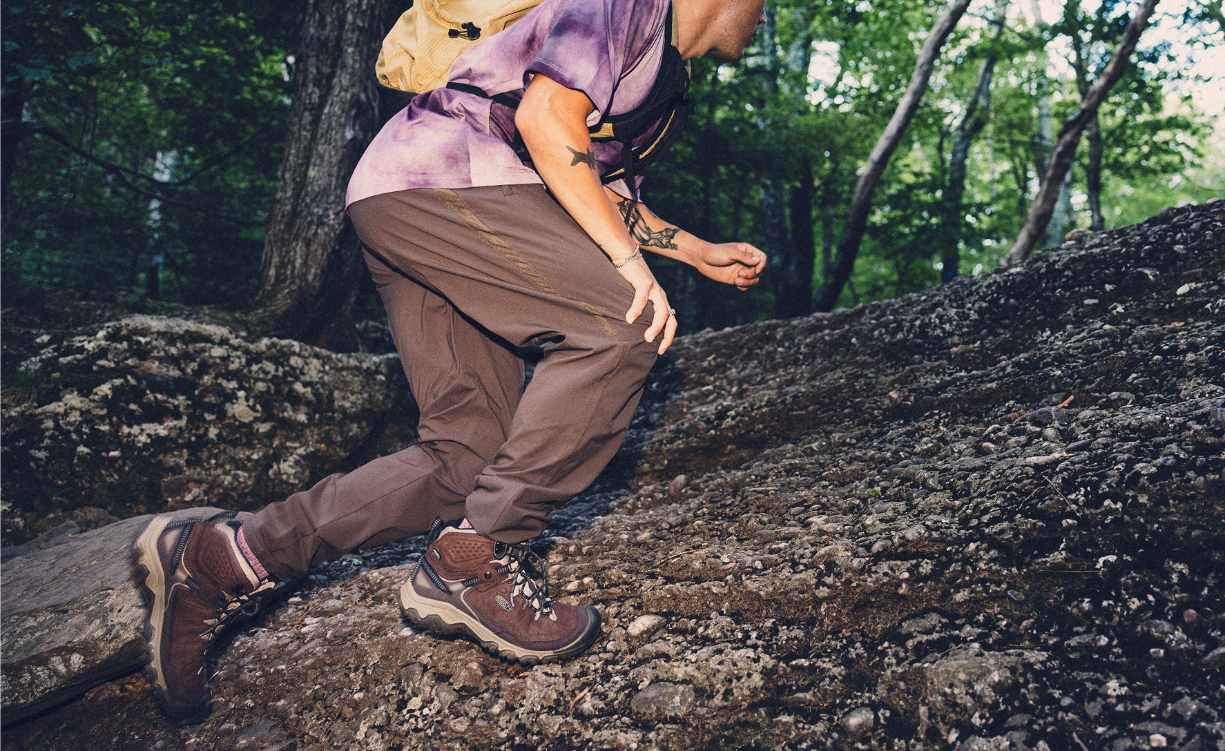 Men's Targhee IV Waterproof Hiking Boot | Java/Brindle - Image 7